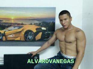 ALVAROVANEGAS