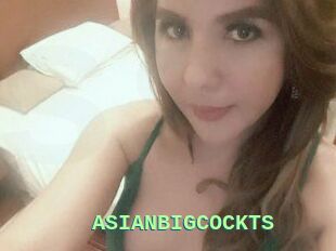 ASIAN_BIGCOCK_TS