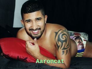 Aaroncat