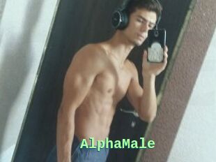 AlphaMale