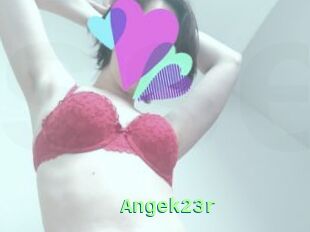 Angek23r