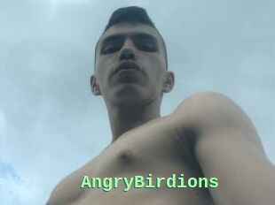 AngryBirdions