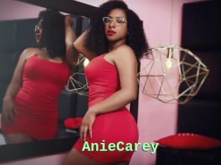 AnieCarey