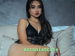 AntoniaScote