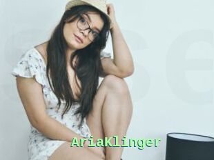 AriaKlinger