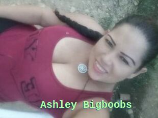 Ashley_Bigboobs