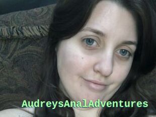 AudreysAnalAdventures