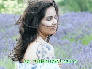 Aerinbaudelaire