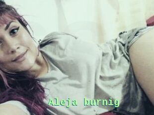 Aleja_burnig