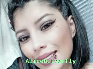 Alicebutterfly
