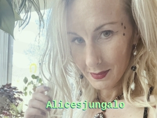 Alicesjungalo