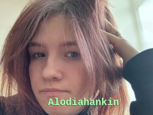 Alodiahankin