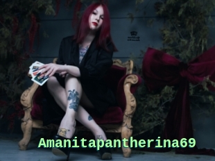 Amanitapantherina69