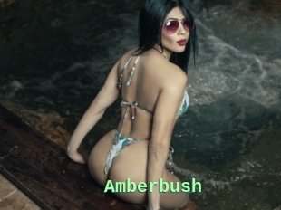 Amberbush
