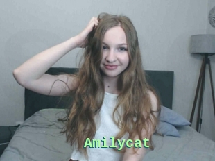 Amilycat