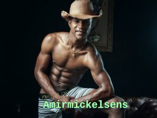 Amirmickelsens