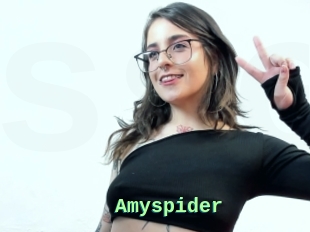 Amyspider