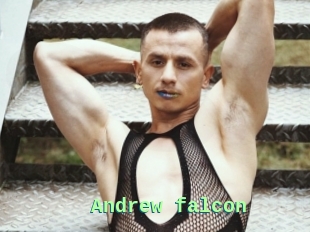 Andrew_falcon