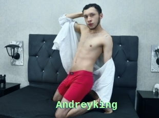 Andreyking