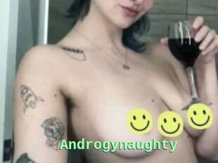 Androgynaughty