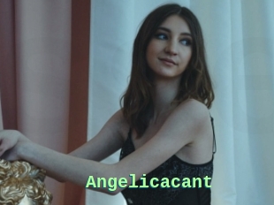 Angelicacant