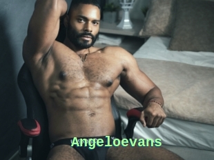 Angeloevans