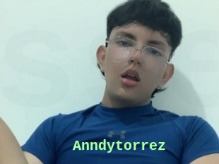 Anndytorrez