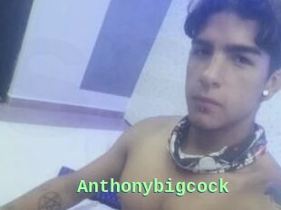 Anthonybigcock