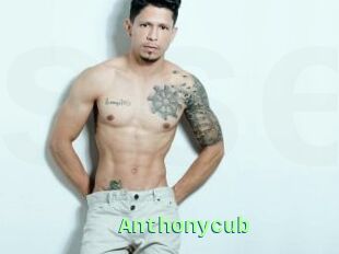 Anthonycub