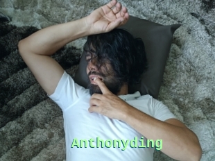 Anthonyding