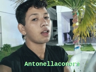 Antonellaconors