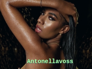 Antonellavoss