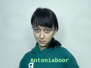 Antoniaboor