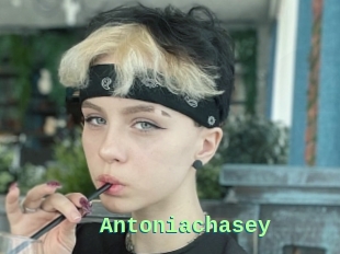 Antoniachasey