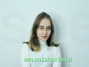 Antoniaharbold