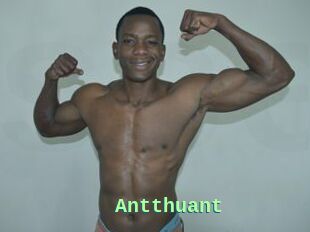 Antthuant