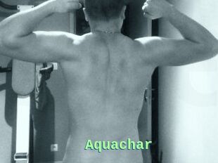 Aquachar
