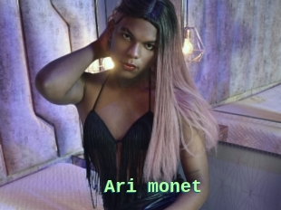 Ari_monet
