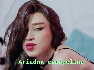 Ariadna_evangeline