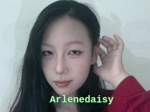 Arlenedaisy