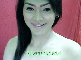 BIGCOCK2014