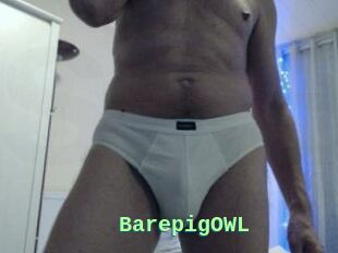 BarepigOWL