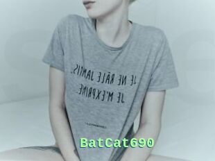 BatCat690