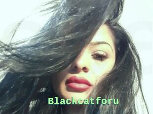 Blackcatforu