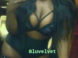 Bluvelvet