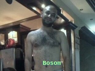 Bosom