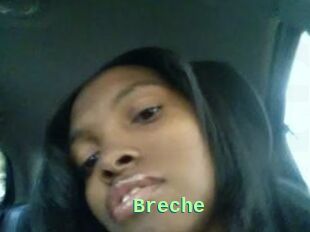 Breche