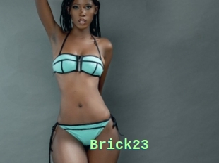 Brick23