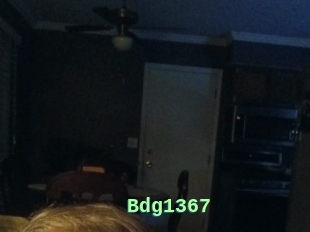 Bdg1367