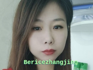 Bericezhangjing